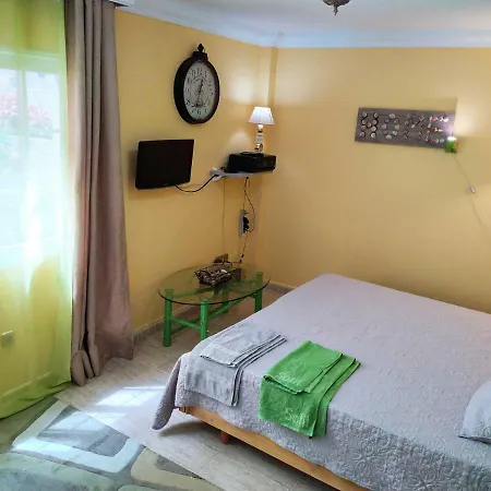 キャンプ場 Casa Eddy